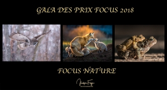 Prix Focus Nature!